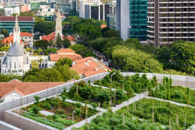 Singapore increased its number of green roofs and spaces ninefold between 2006 and 2016 and markets itself as a 'garden city'