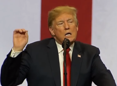 Trump on Maryland shooting: ‘journalists should not fear violence’