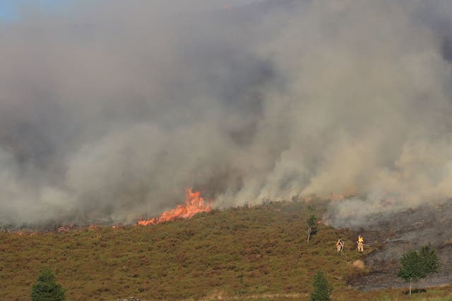 Firefighters tackle the wildfire on Saddleworth Moor, which continues to spread