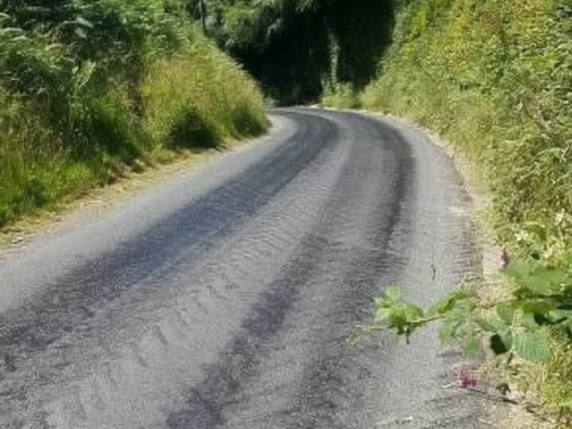 The road from Heasley Mill, near North Molton, Devon, melted in the heat (CWU / SWNS.com)