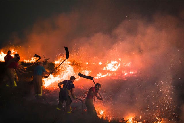 A record-breaking series of wildfires raged across the UK this summer following driest June on record for some parts of the country 