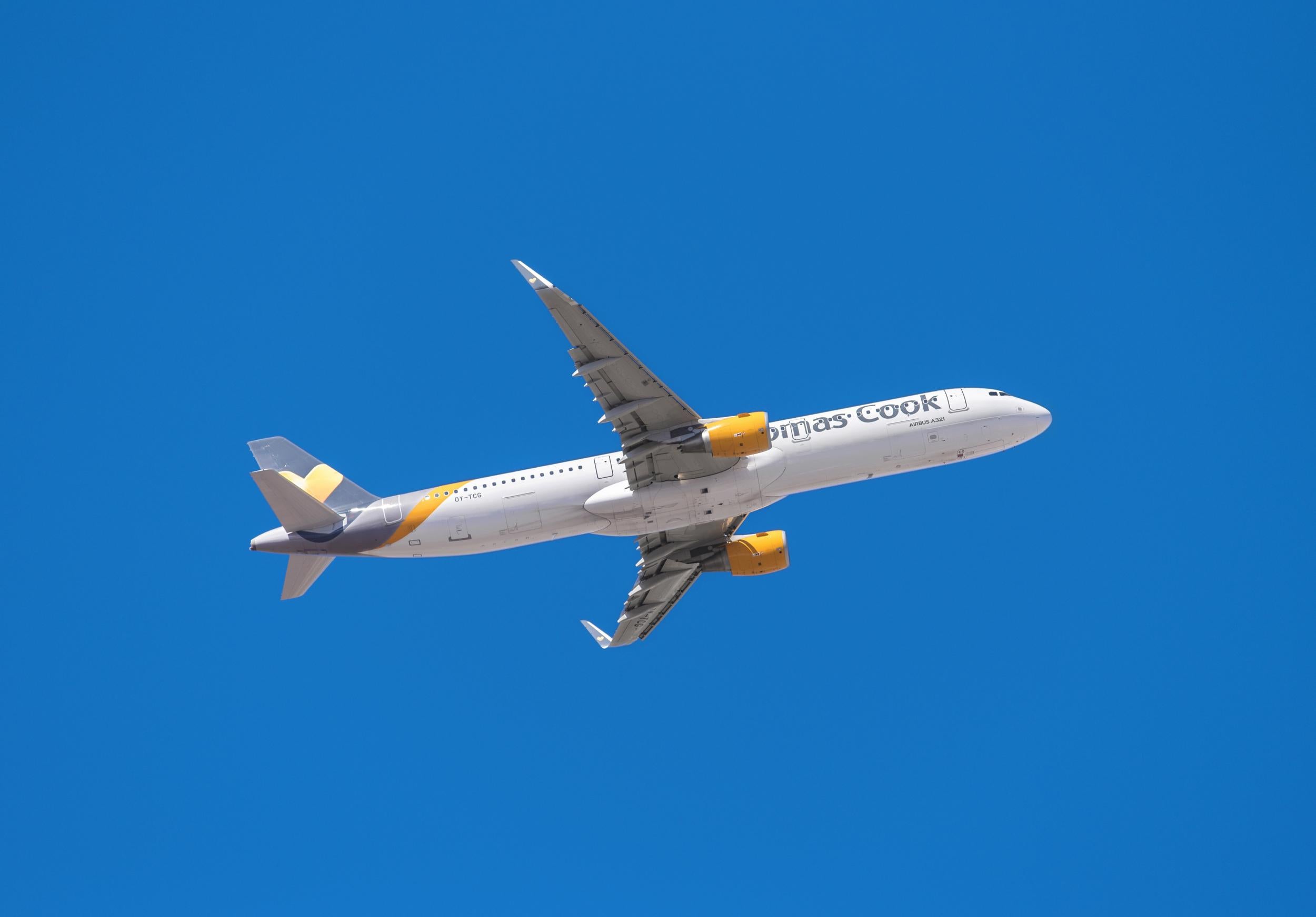 Flying low: Thomas Cook has issued an ugly profit warning