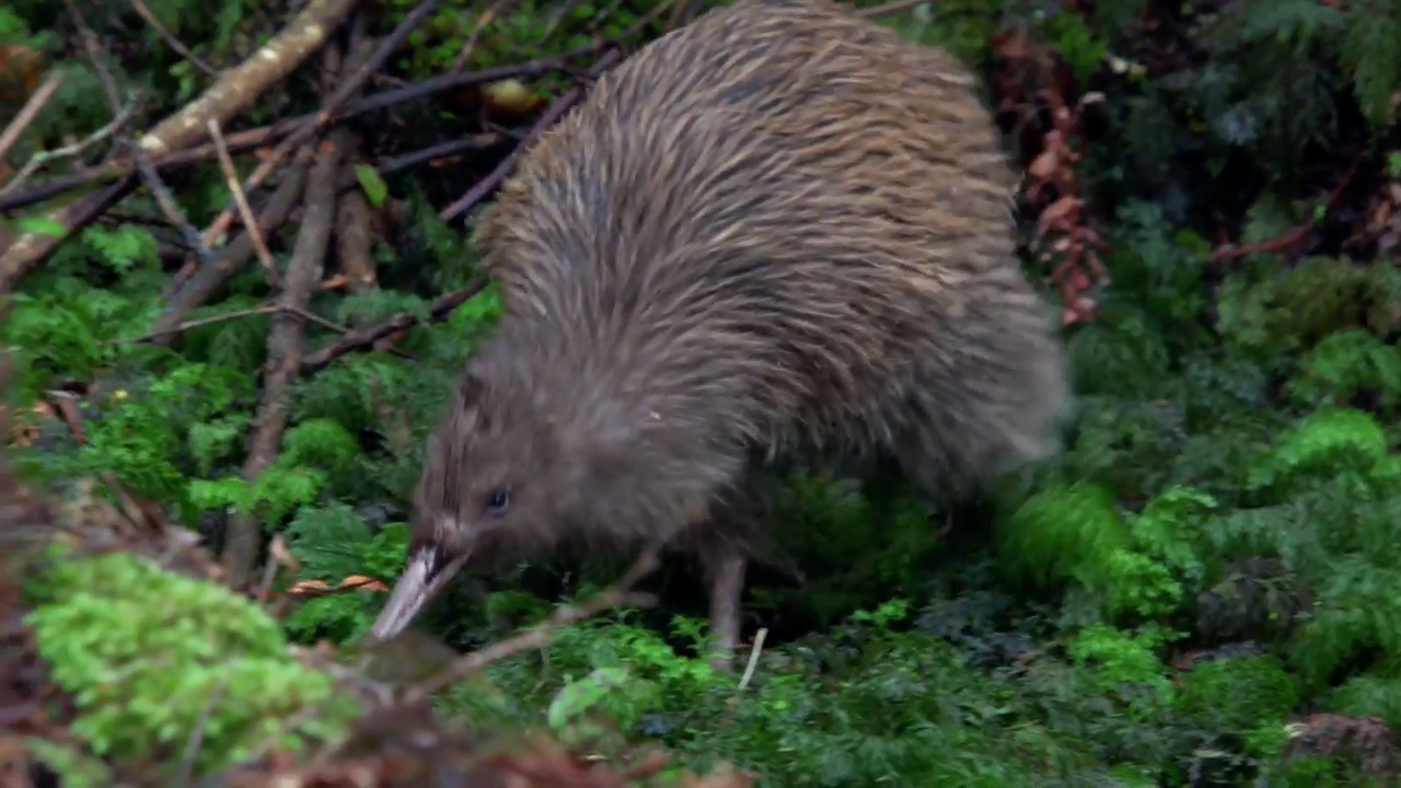 oasis dating members login