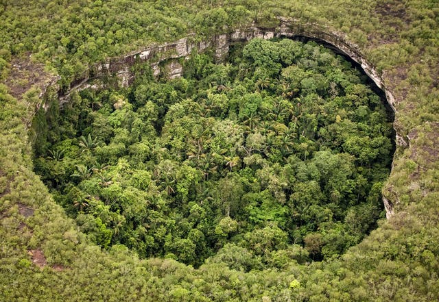 Enough Rainforest To Fill 30 Football Pitches Destroyed Every Minute Last Year The Independent The Independent I'd guess that it's hard(and unsafe) to use a large chainsaw in the posture you'd have to be in to cut that close to the ground, and the closer they get to the ground the more likely they are to hit rocks and dirt which aren't good for a chain saw. enough rainforest to fill 30 football