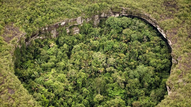 Enough Rainforest To Fill 30 Football Pitches Destroyed Every Minute Last Year The Independent The Independent Enough Rainforest To Fill 30 Football Pitches Destroyed Every Minute Last Year The Independent The Independent