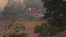 Wildfire devours 60,000 acres in Yolo County, California