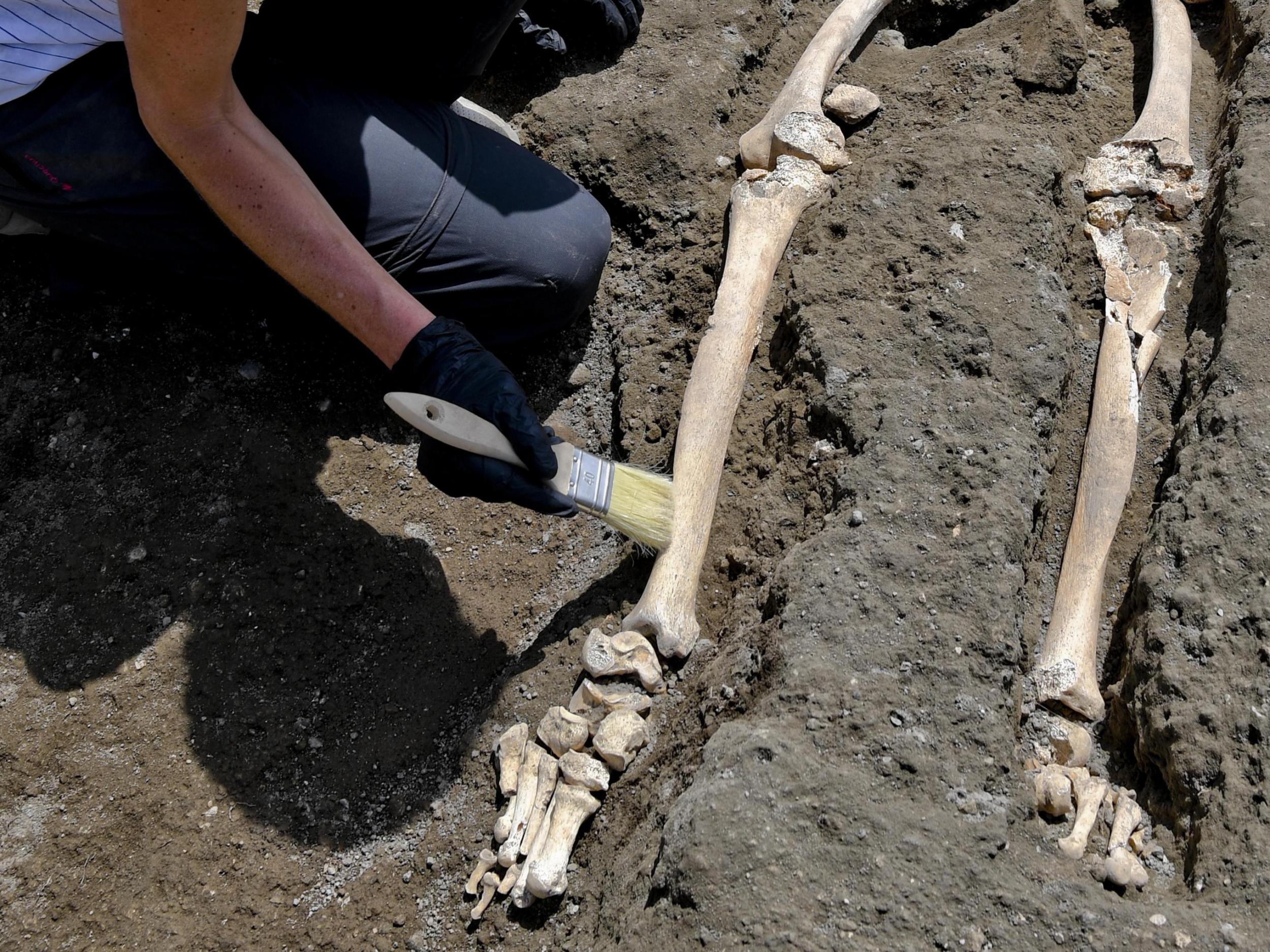The skeleton of a victim of the eruption that destroyed Pompeii was discovered during recent excavations