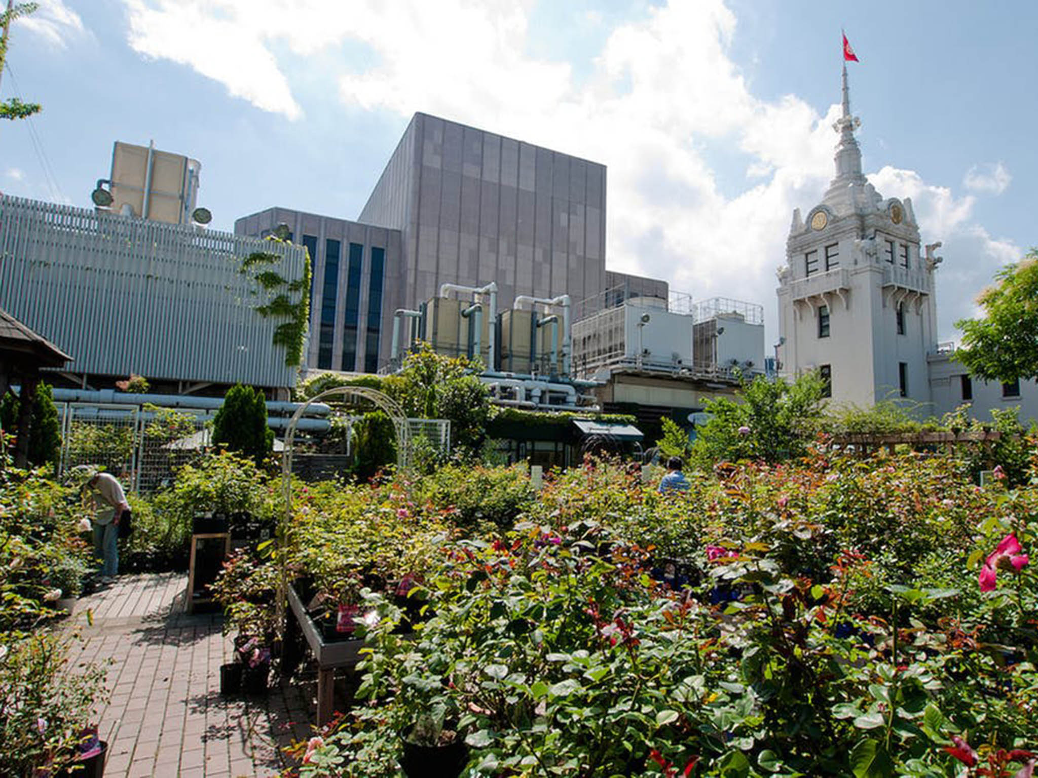 Customers to Tokyo’s Mitsukoshi department store can visit the rooftop garden