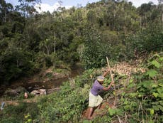 World’s poorest people ‘bearing costs of rainforest conservation’