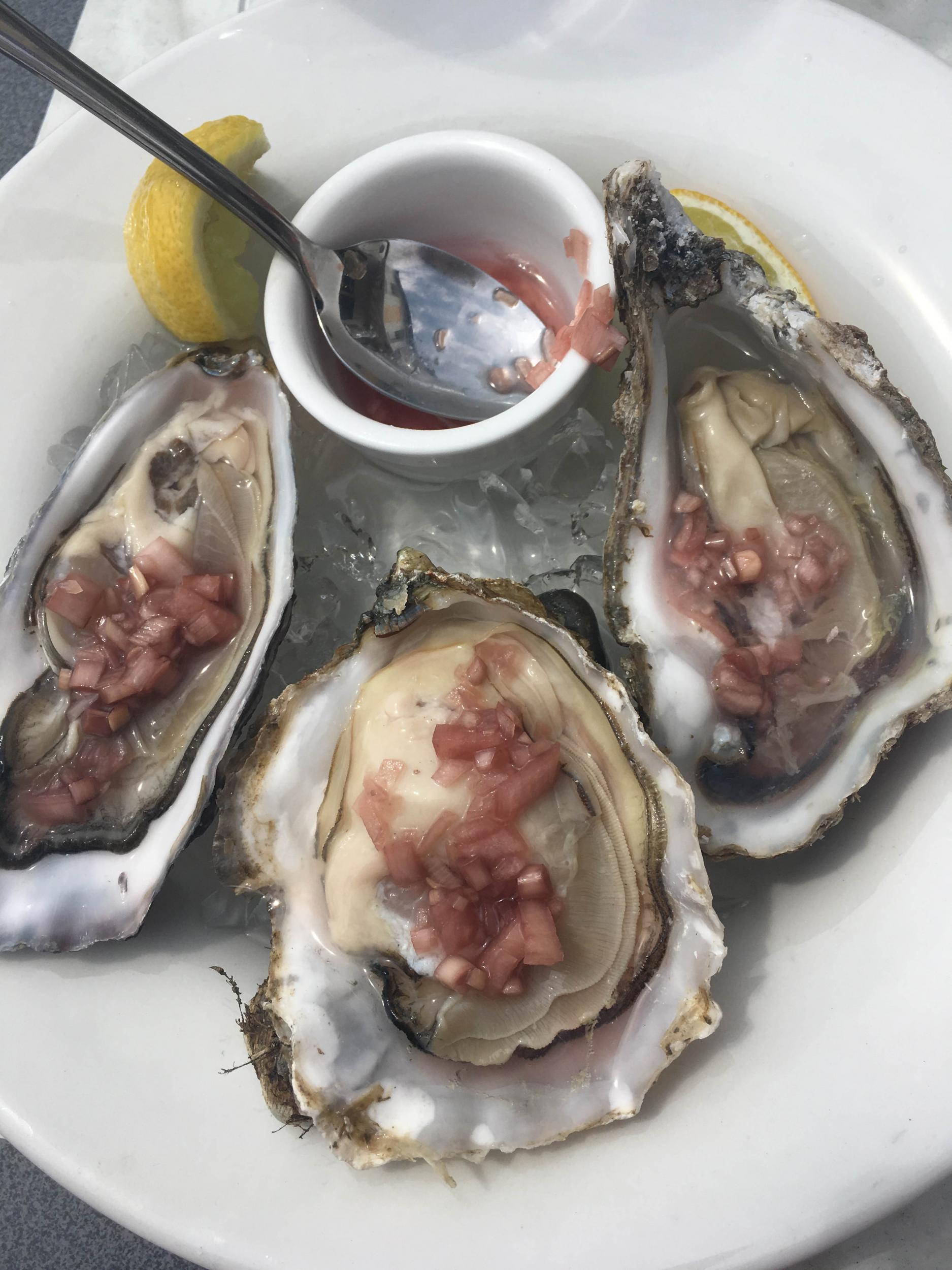 Oysters from Old Custom House in Hastings