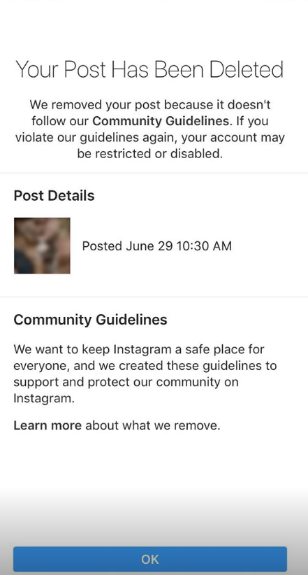 Instagram claimed the photo violated guidelines (Instagram @stellaasiaconsonni)