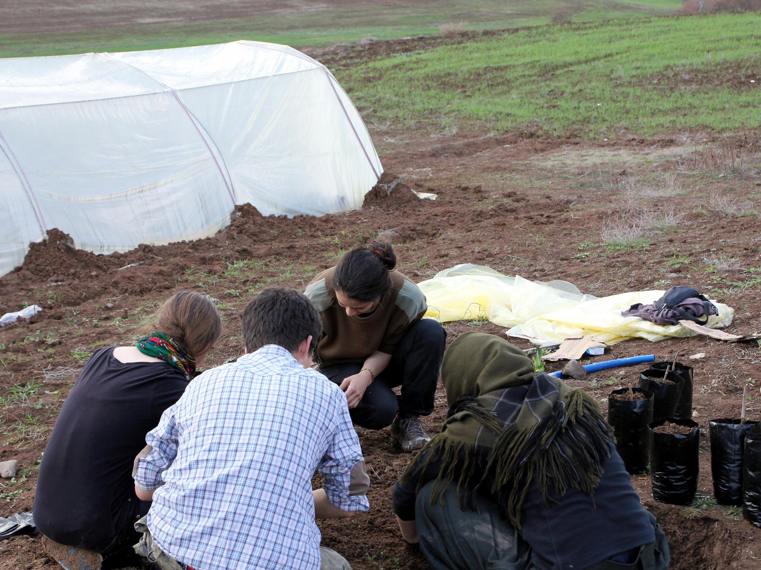 Internationalist Commune members plant shoots at the tree nursery in nearby Derik