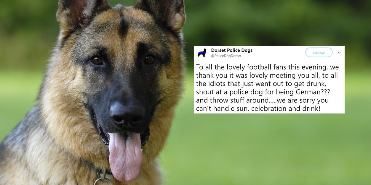 World Cup 2018 England Football Fans Shout At Police Dog For Being German After Sweden Win Indy100