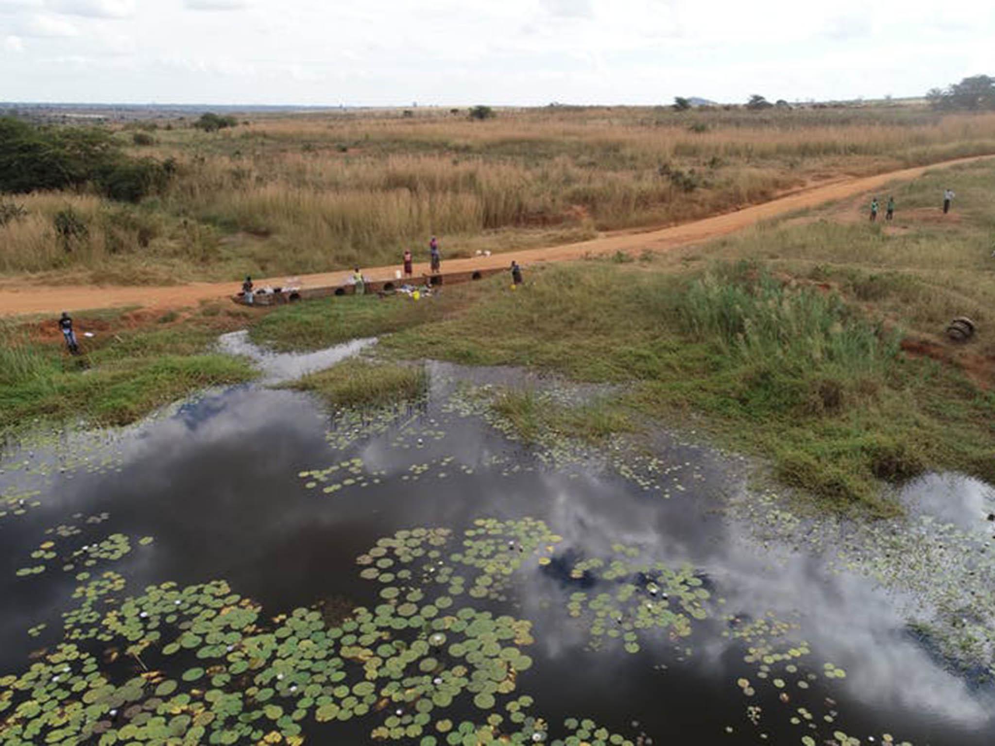 Unicef has been tasked with taking samples at local reservoirs to test for mosquito larvae