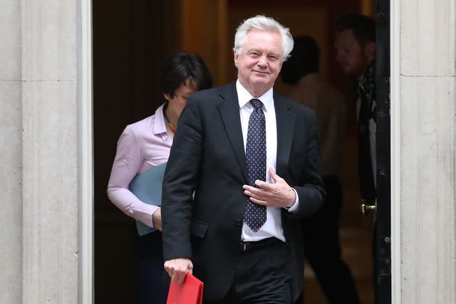 David Davis had a vision for Brexit that was wider than the law allowed