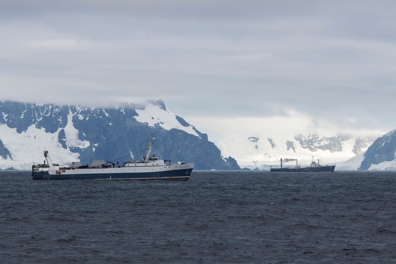 Krill fishing vessels near Trinity Island, Antarctica