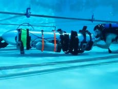 Musk can ‘stick his submarine where it hurts’, says cave rescue diver