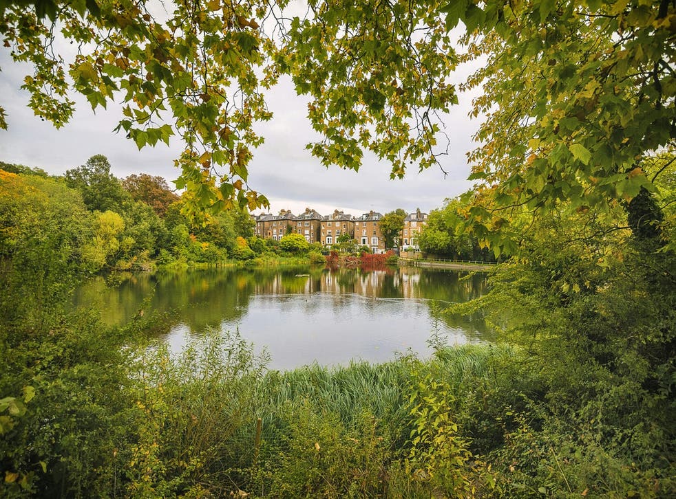 The ponds in Hampstead Heath park in north London are perfect for a dip