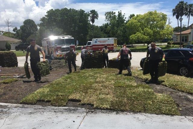 Firefighters in Florida finished off laying the grass for a man who suffered a heart attack