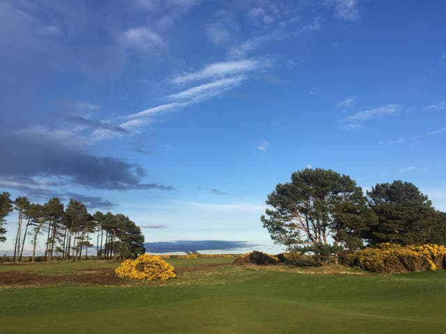 Carnoustie Golf Links does have trees for a number of holes before reverting to more traditional links holes