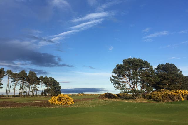 Carnoustie Golf Links does have trees for a number of holes before reverting to more traditional links holes