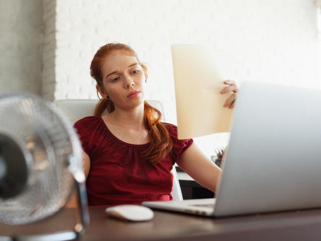 <p>(Getty Images</p>