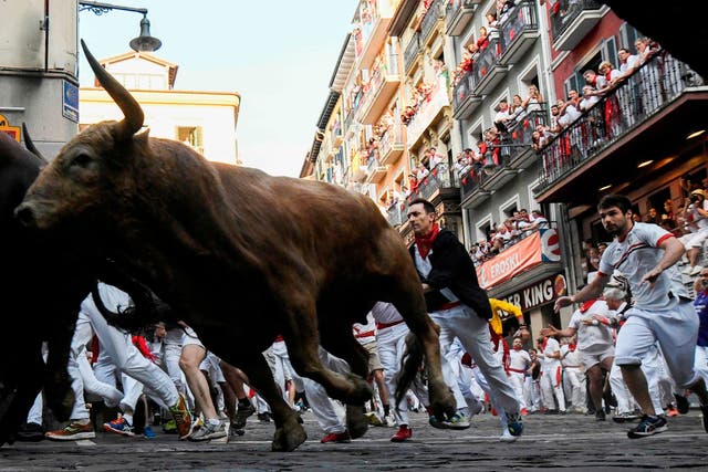 <p>The use of bulls for entertainment is coming under increased scrutiny in Spain (File photo) </p>