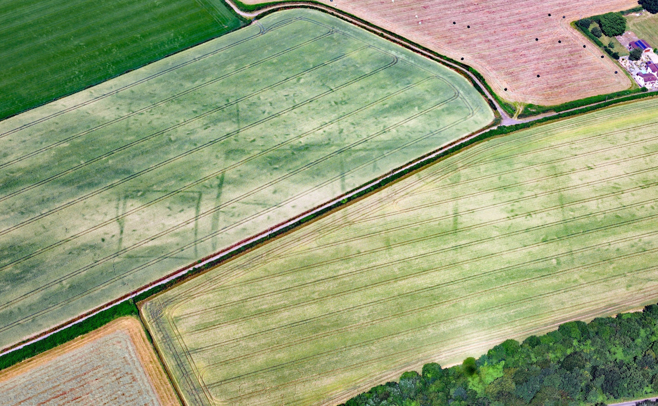 Outlines of a first century town, a 'ghost garden' from the 1850s and an undiscovered Roman site are all appearing across the British countryside as record temperatures scorch the UK's fields and hillsides (SWNS)