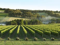 This is where you’ll find Australia’s best wine