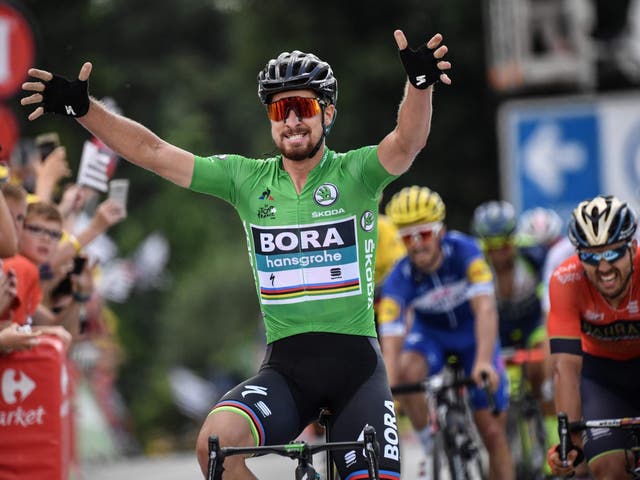 Peter Sagan celebrates his victory in Quimper