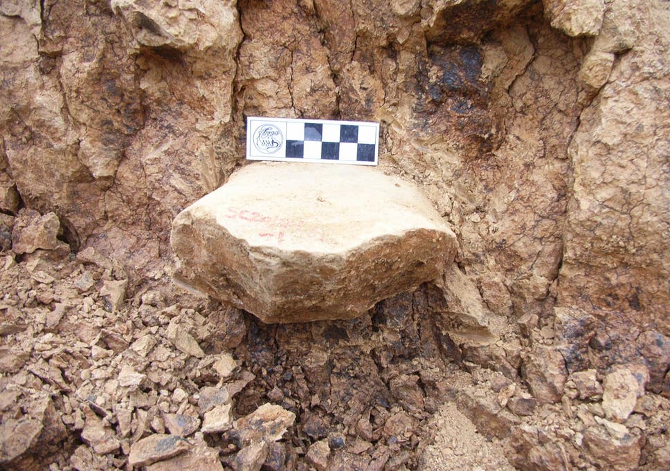 One of the tools from the discovery site in Shangchen, China