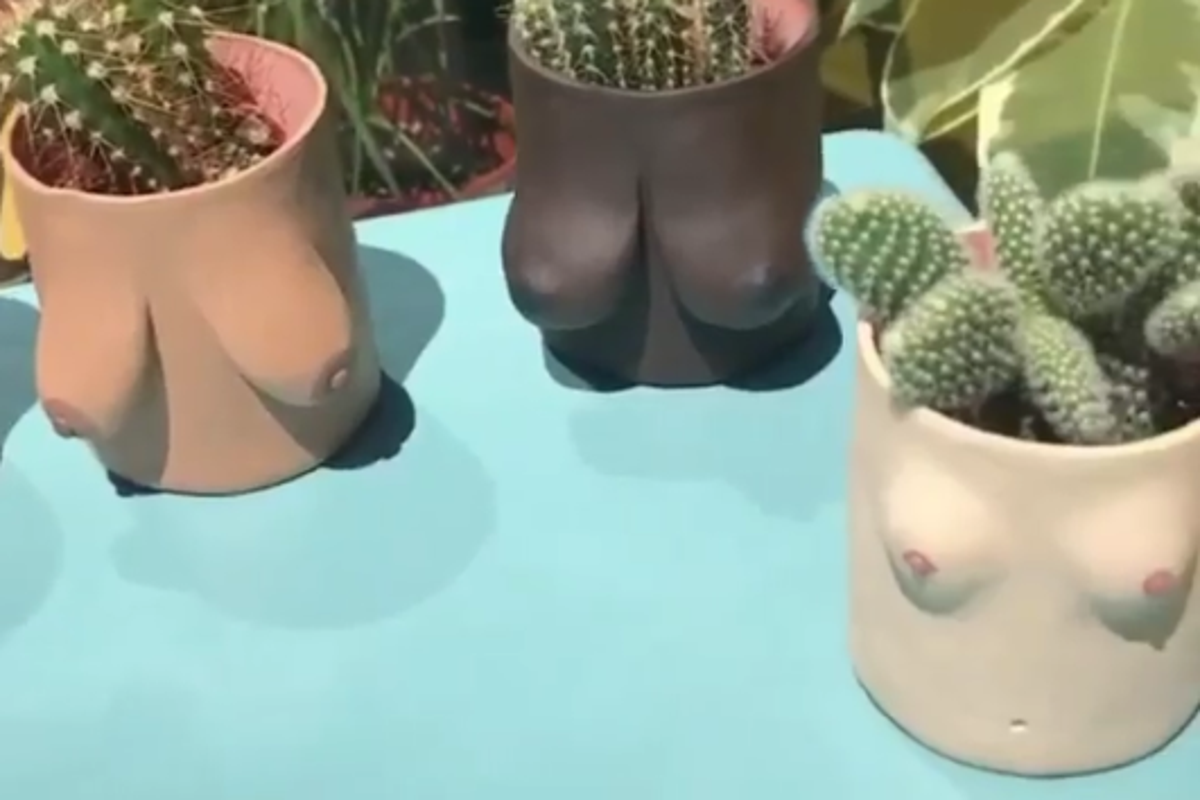 Suggestive plant pots