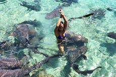Instagram model attacked by shark while posing in Bahamas 
