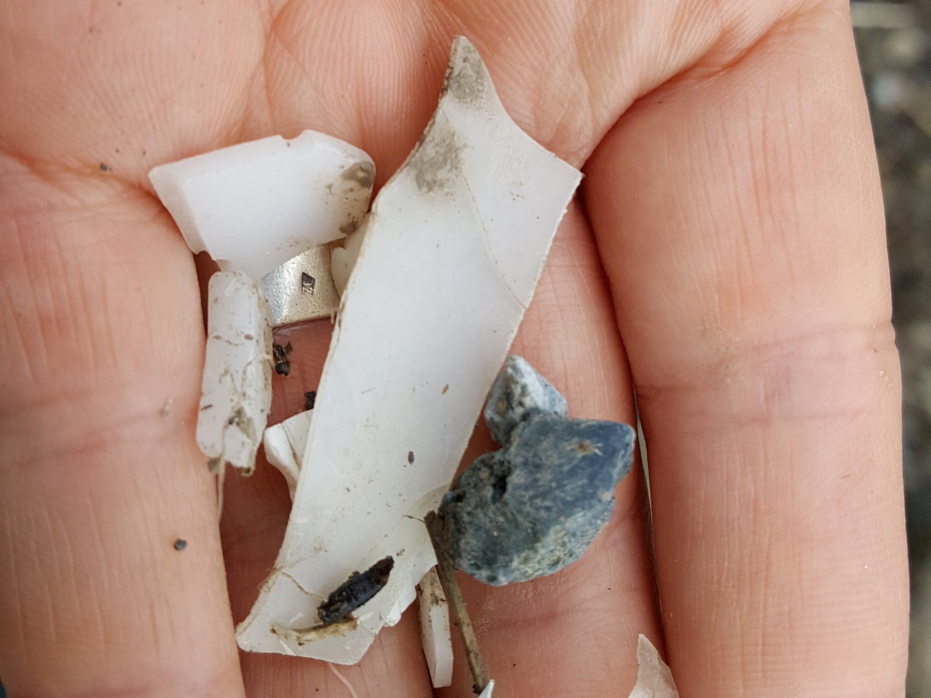 Plastic found on a beach in Svalbard