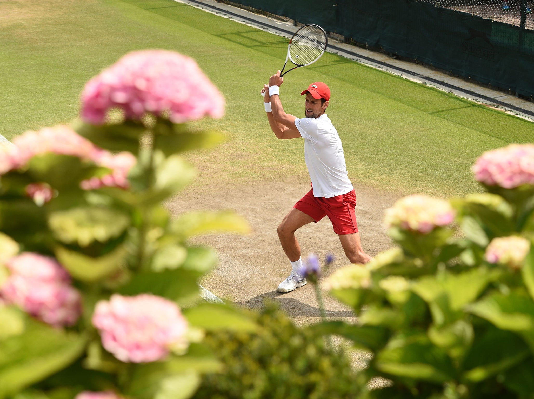 Novak Djokovic has to keep points as short as possible