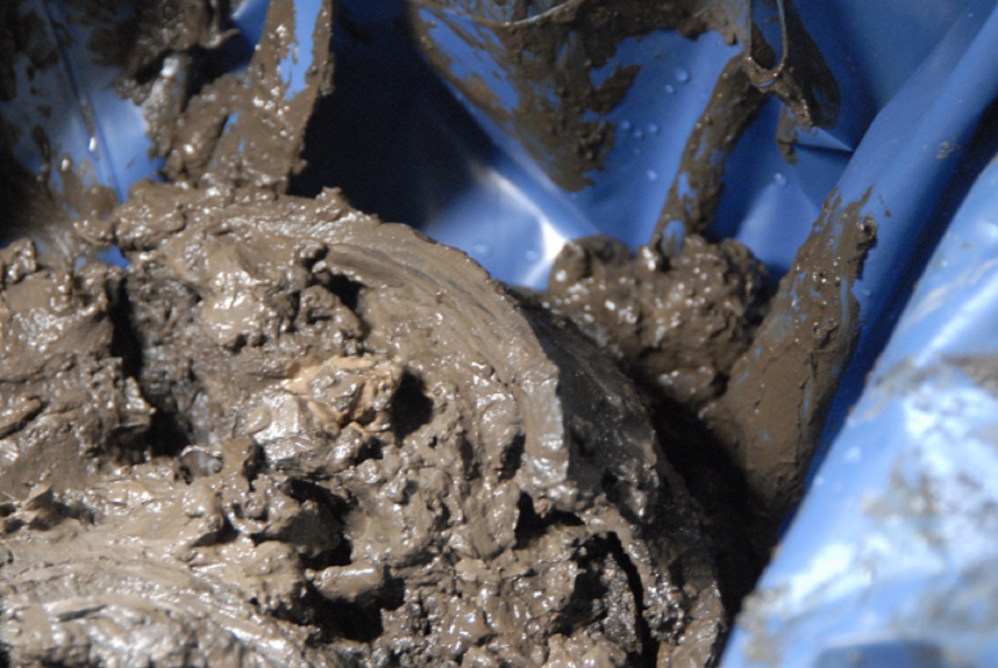 The rim of the bowl, still encased in silt