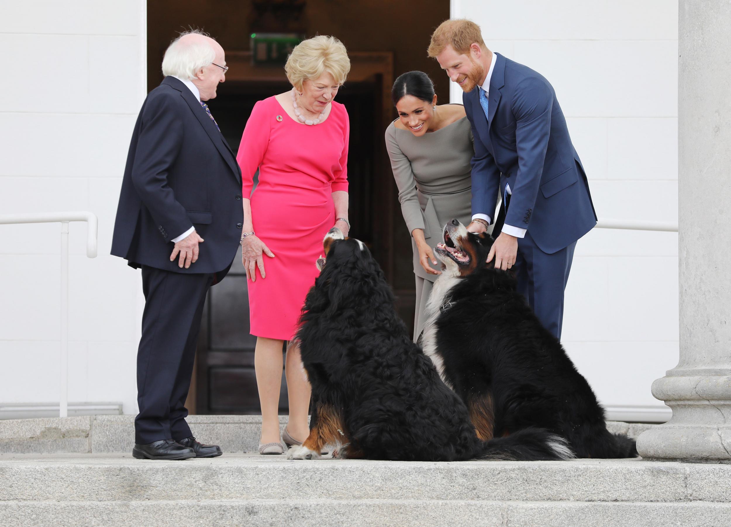 President Higgins and his wife Sabina introduce Prince Harry and Meghan Markle to their dogs Bród and Síoda during a visit by the royal couple to Dublin in July (PA)