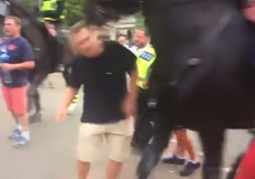Footage shows demonstrator being headbutted by police horse