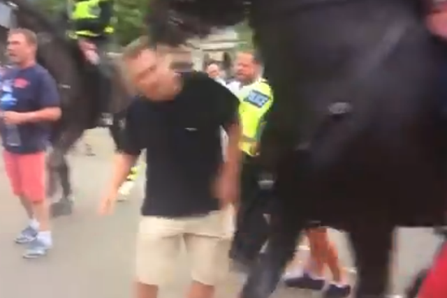 A man at a rally in support of former EDL leader Tommy Robinson is headbutted by a police horse