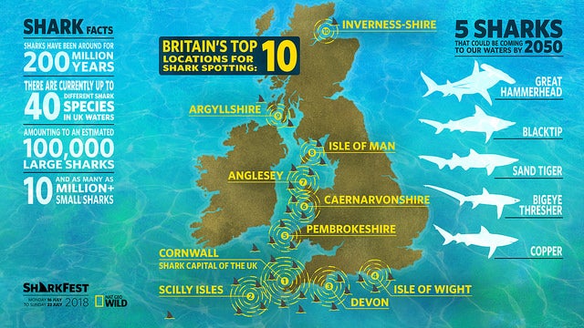 A ‘shark map of Britain’ illustrates the UK’s shark hotspots