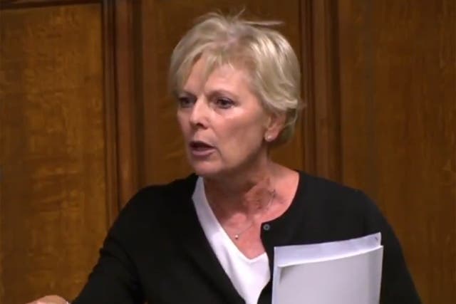 Anna Soubry addressing the House of Commons