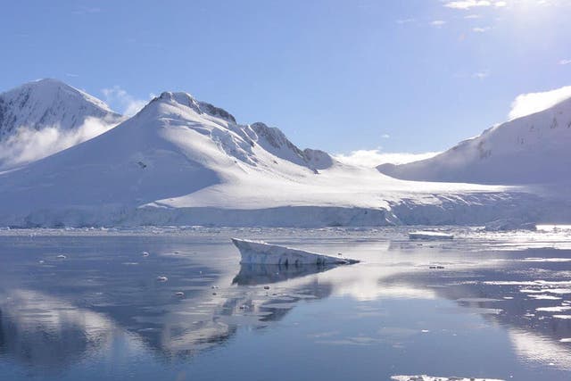 The fjords of the western Antarctic Peninsula have been revealed by retreating glaciers