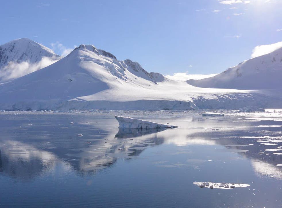 The fjords of the western Antarctic Peninsula have been revealed by retreating glaciers