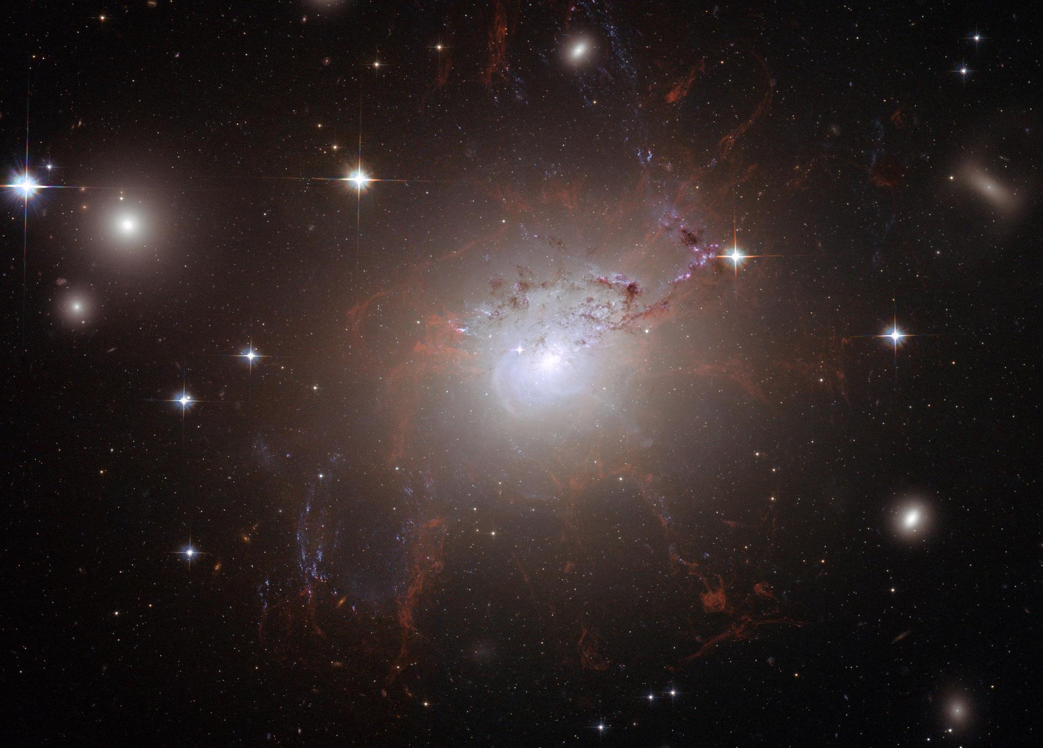 This handout image of the giant, active galaxy NGC 1275, obtained August 21, 2008 was taken using the NASA/ESA Hubble Space Telescope's Advanced Camera for Surveys in July and August 2006