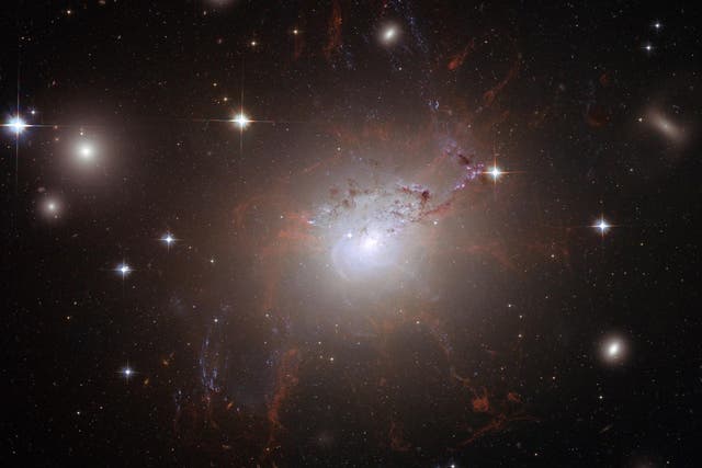 This handout image of the giant, active galaxy NGC 1275, obtained August 21, 2008 was taken using the NASA/ESA Hubble Space Telescope's Advanced Camera for Surveys in July and August 2006