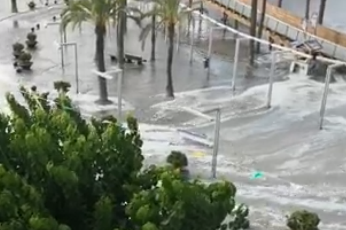 Tsunami mallorca today