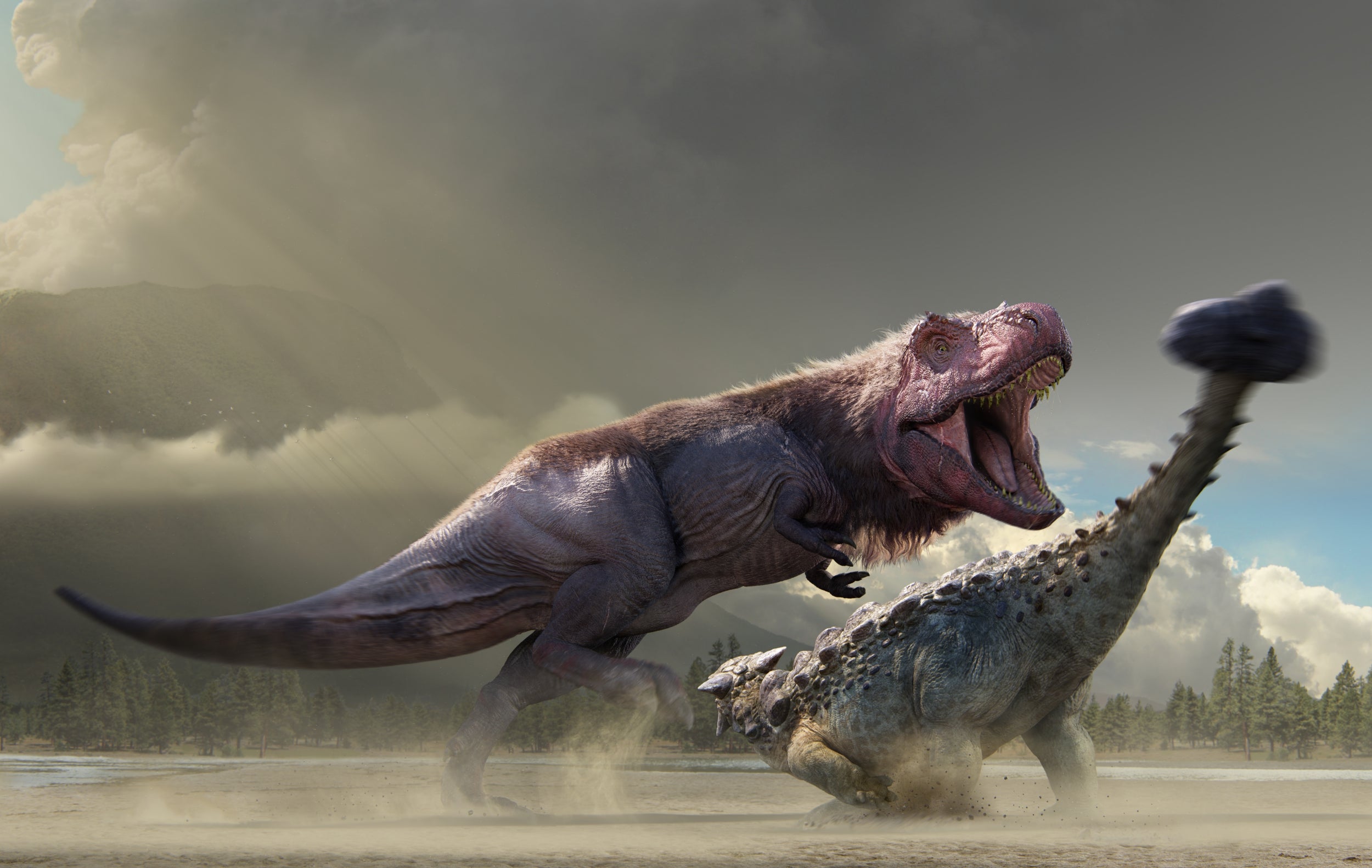 Рев динозавра. Анкилозавр и Тираннозавр. Анкилозавр рекс. Тираннозавр рекс парк Юрского периода 2. Тираннозавр рекс против Анкилозавра.