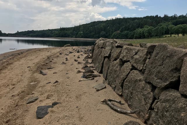 Panorama of Burrator while water levels were normal