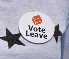Elections watchdog ‘misinterpreted’ Vote Leave donations – High Court