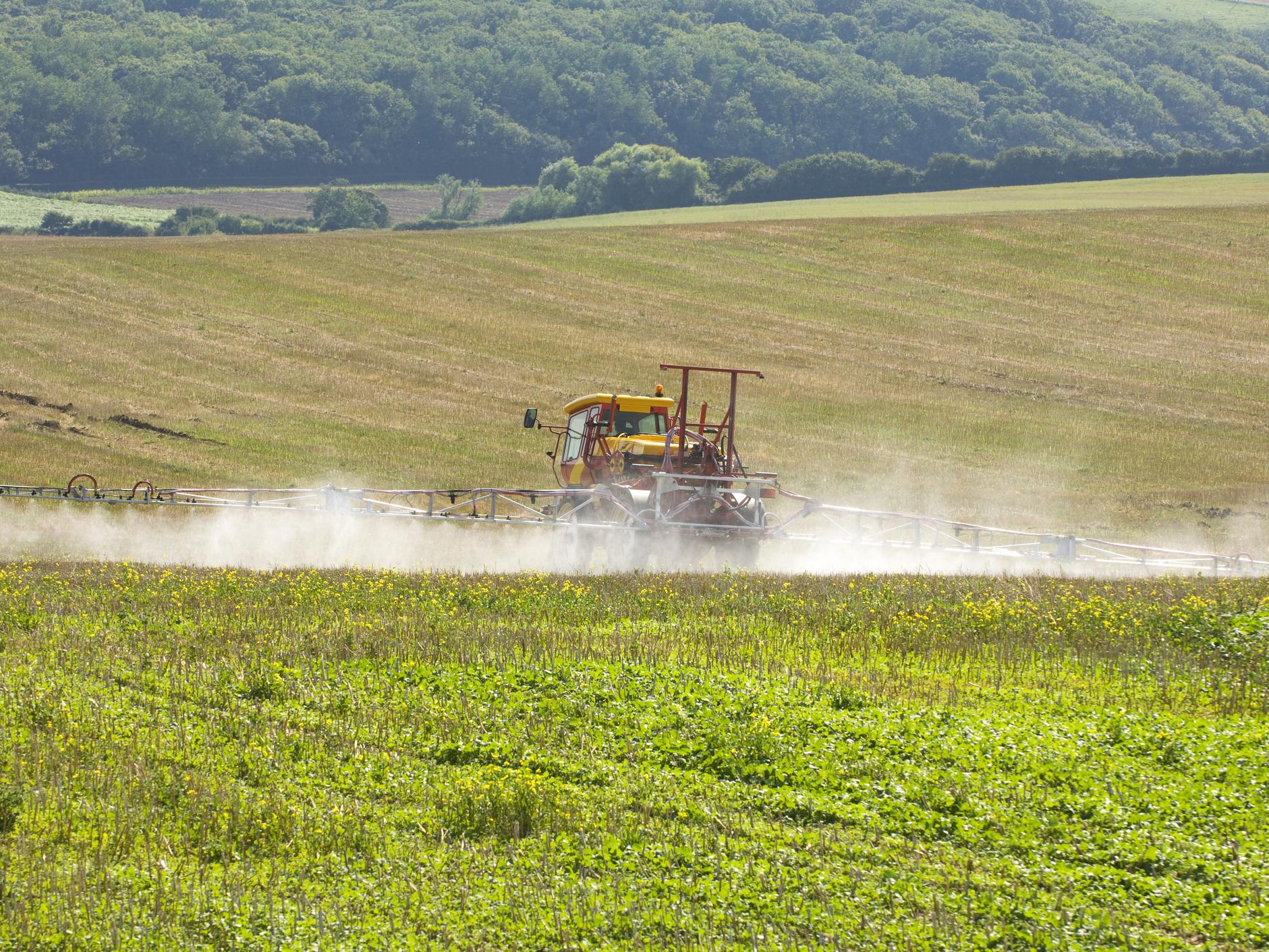 Green groups are concerned that a 'no deal' outcome would affect Britain's farmers and result in fewer agricultural regulations protecting the environment